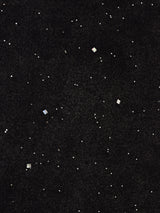 Meridian クロップド ウォッシュ ラメ Tシャツ