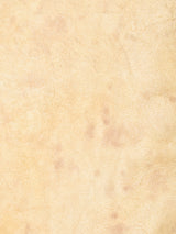 50's〜60's Boa Leather Coat