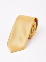 【7色展開】  サテンネクタイ