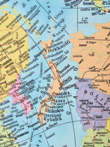 Emerald Motel マップ柄 半袖シャツ