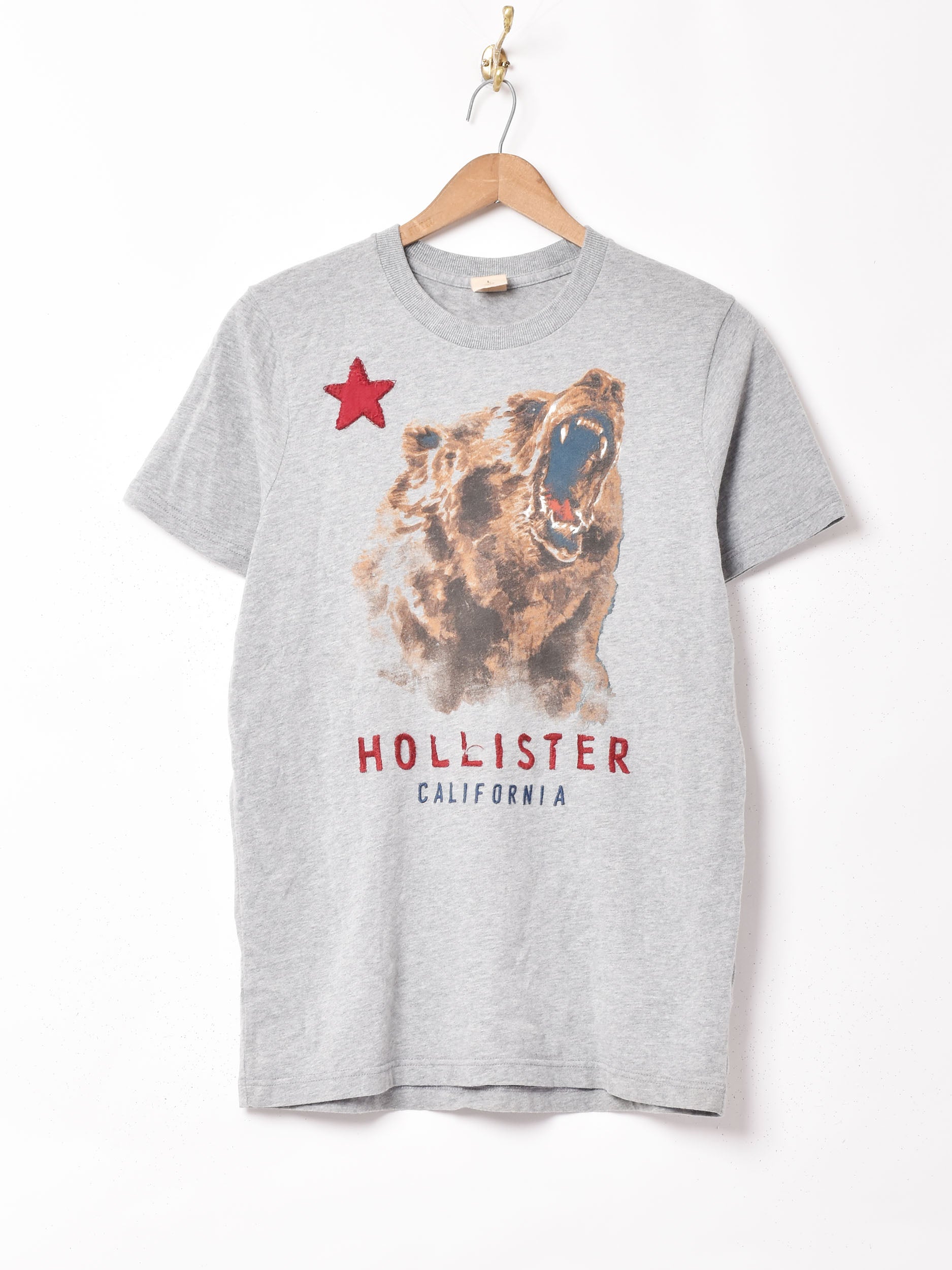 ★Hollister Co.★ボクシージョシュアツリーグラフィックTシャツ ☆Hollister Co.☆ボクシージョシュアツリーグラフィックTシャツ