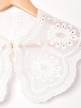 スカラップカラー