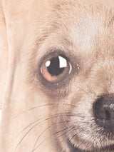 THE MOUNTAIN ドッグ プリントTシャツ