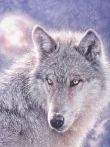 THE MOUNTAIN オオカミ プリントTシャツ