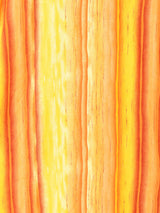 グラデーションストライプ 半袖シャツ