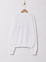 アメリカ製 スロバキア国旗 プリントスウェットシャツ