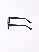 【2色展開】サングラス ブラック×ライトスモーク