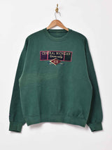 JANSPORTカレッジ刺繍スウェット グリーン