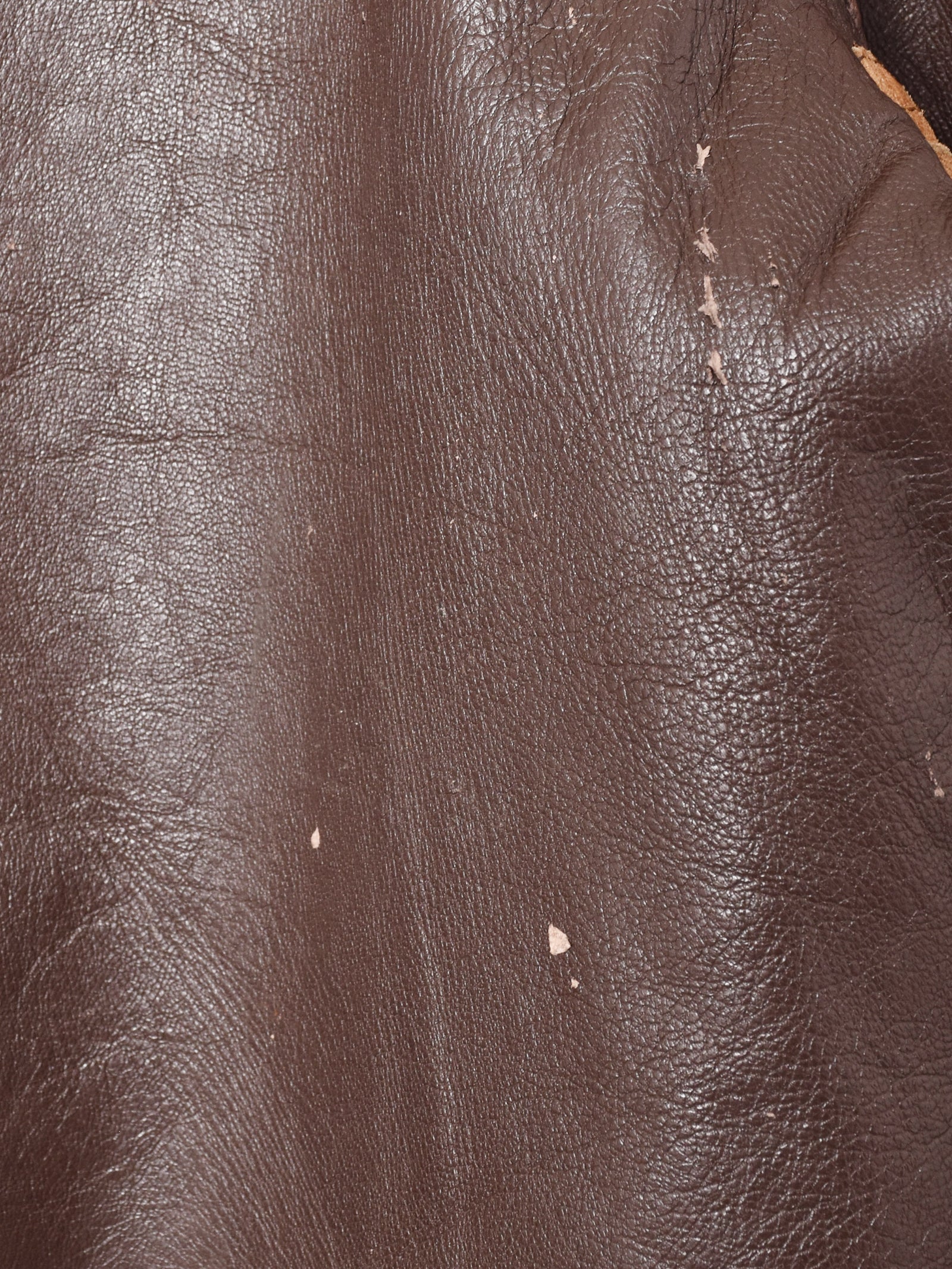 スペイン製 レザーシューティングジャケット – 古着屋Top of the Hill