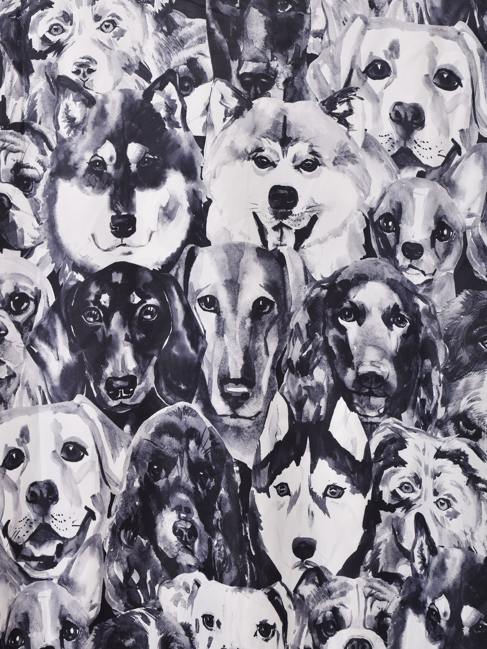 Bachers ジャケット 2色展開】Backers 犬柄 ジャケット – 古着屋Top of the Hillのネット