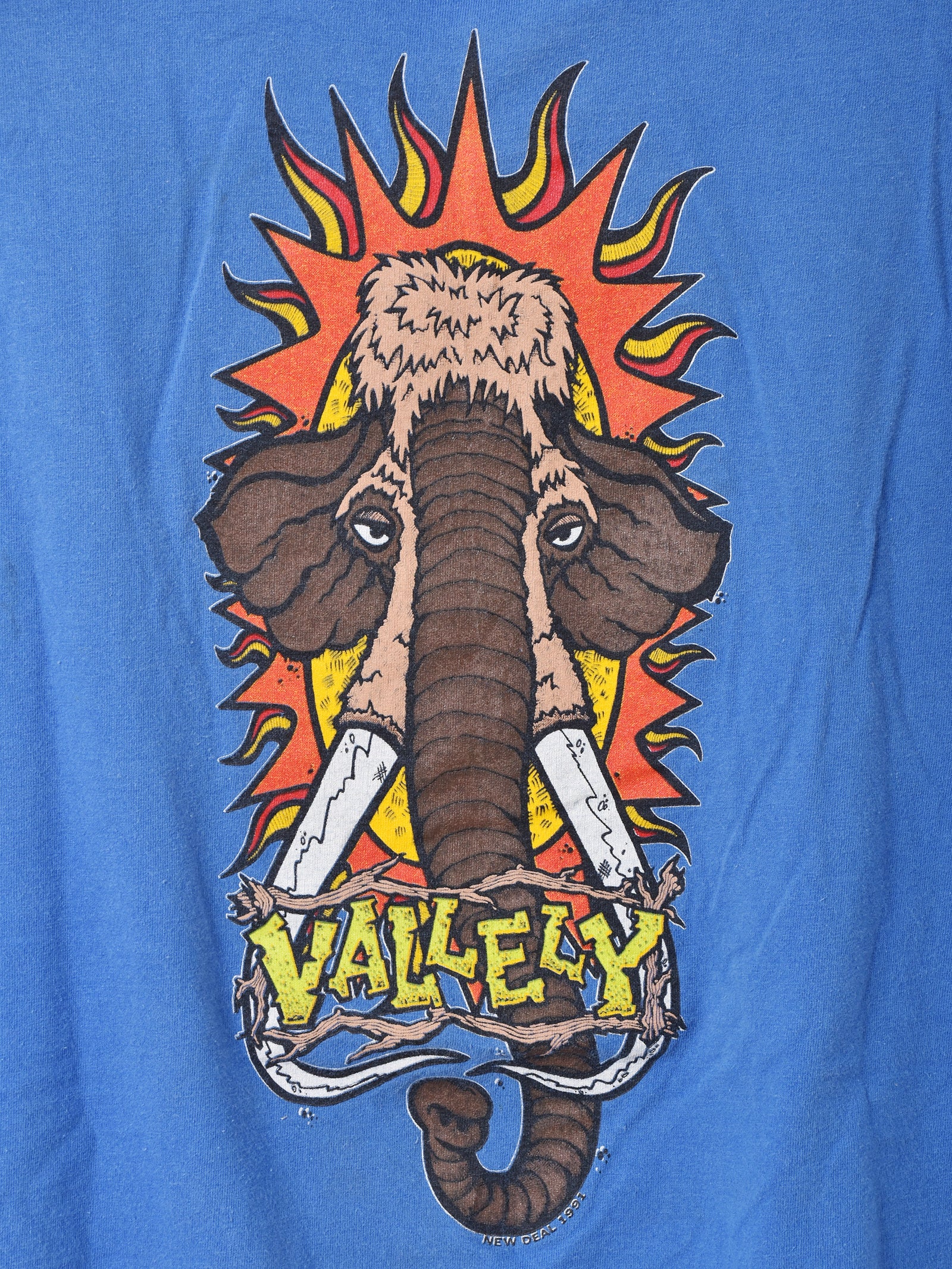1991's NEW DEAL SKATEBOARDS MIKE VALLELY プリントTシャツ – 古着屋
