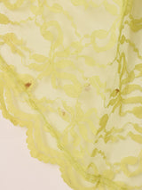 Cape Design Lace Dress