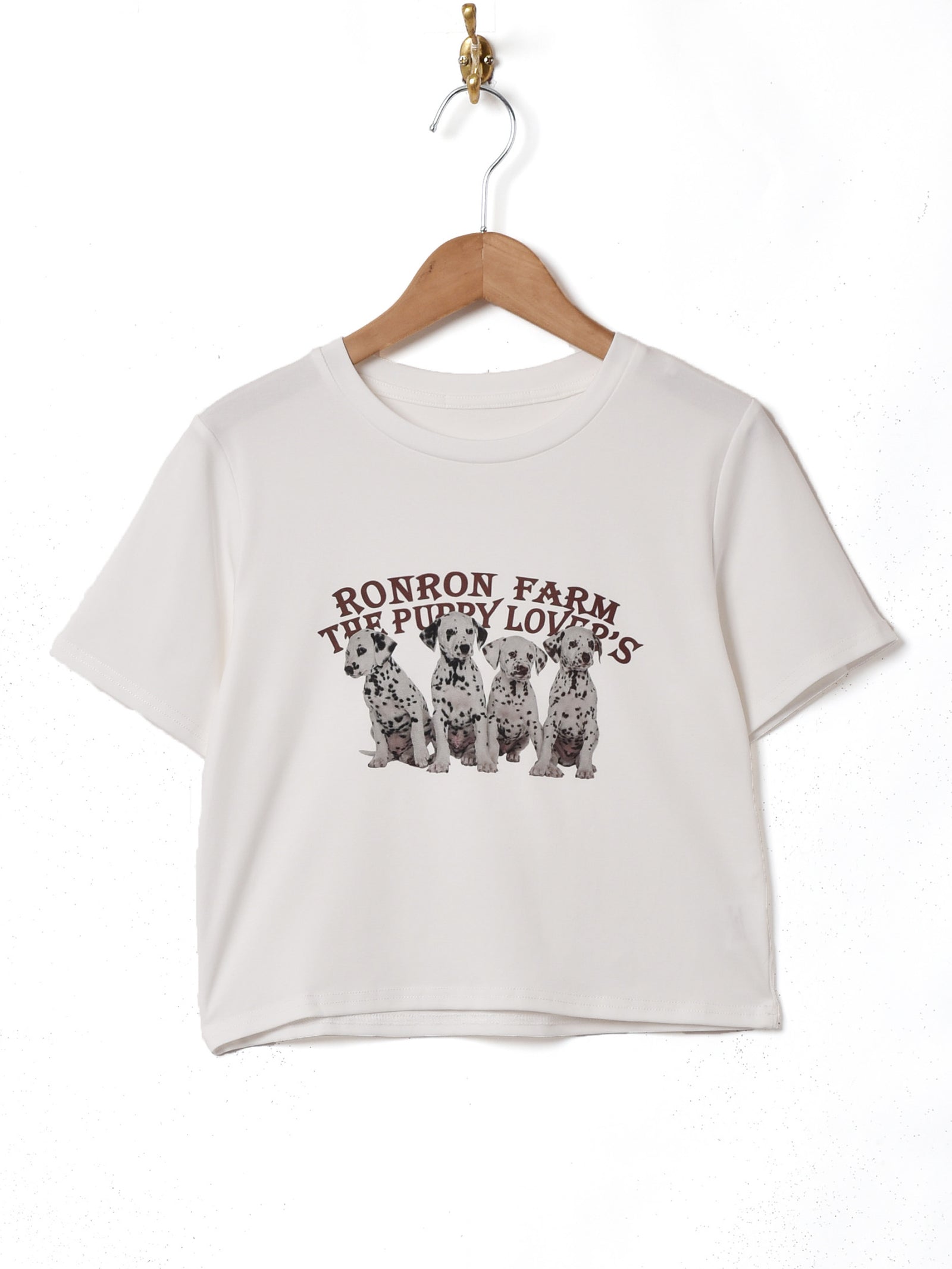ANGLOMANIA 中古 / ラメ風半袖Tシャツ S グレー  I-25-05-21-023-ts-HD-ZI 黒菟華「カラス黒菟華」半袖Tシャツ LIN AL-758011 和柄 和風 兎