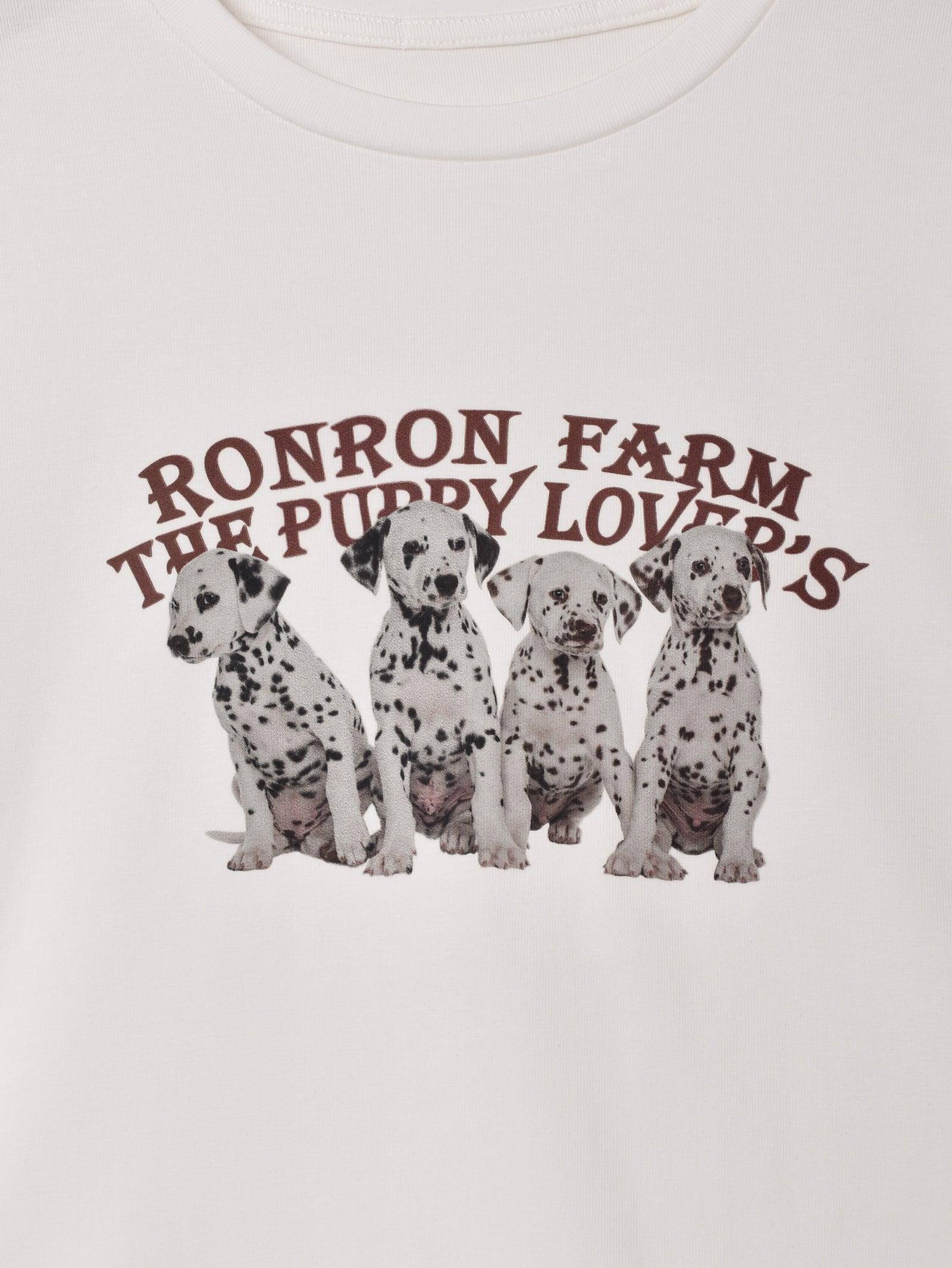 risaucydogタオル2枚　ダルメシアンtシャツ 商品詳細ページ | Saucy Dog Online Shop | わんこTシャツ