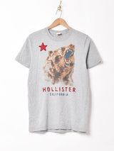 Hollister プリントTシャツ