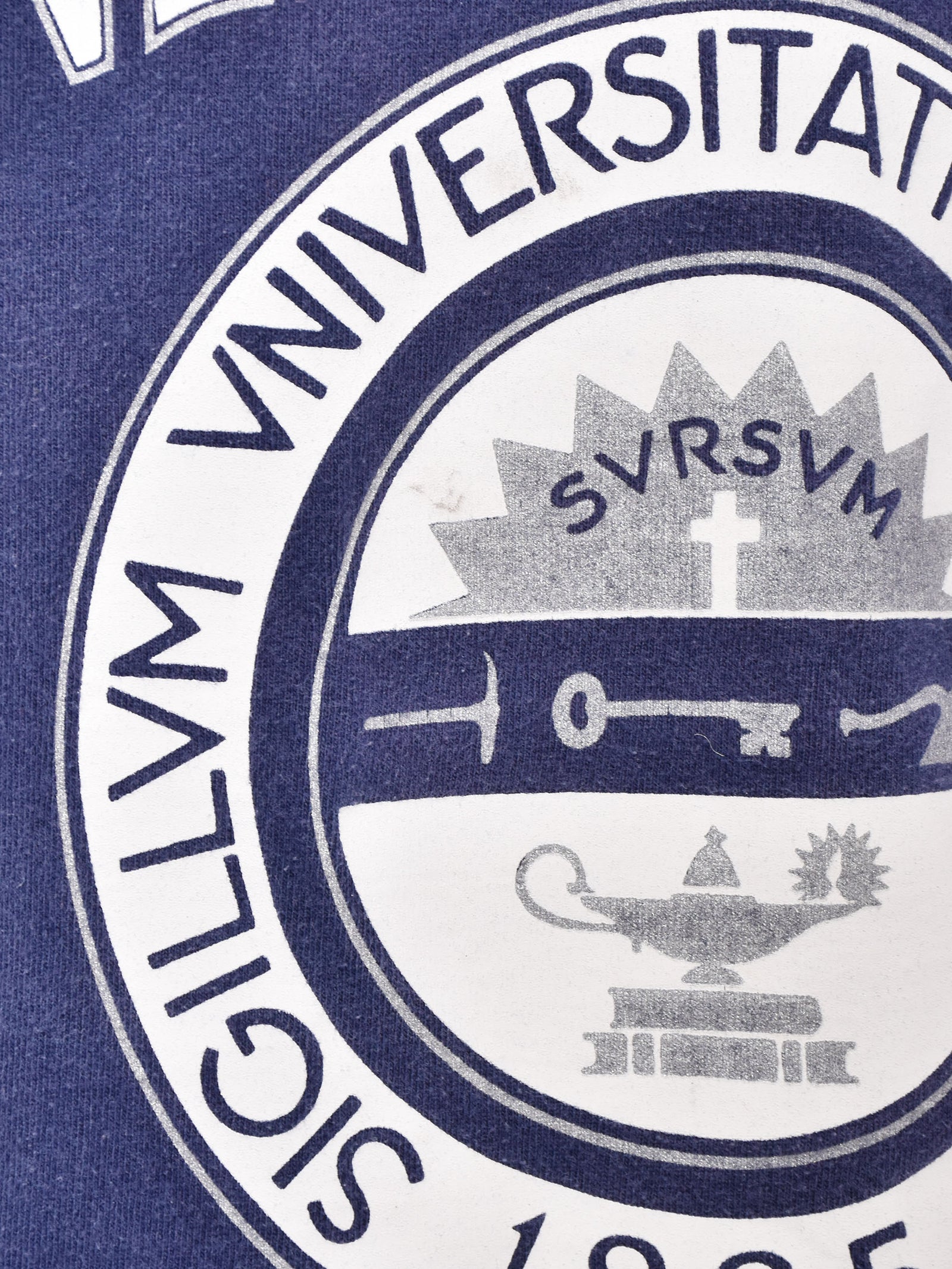 アメリカ製 アリゾナ大学 カレッジプリントTシャツ – 古着屋Top of the 
