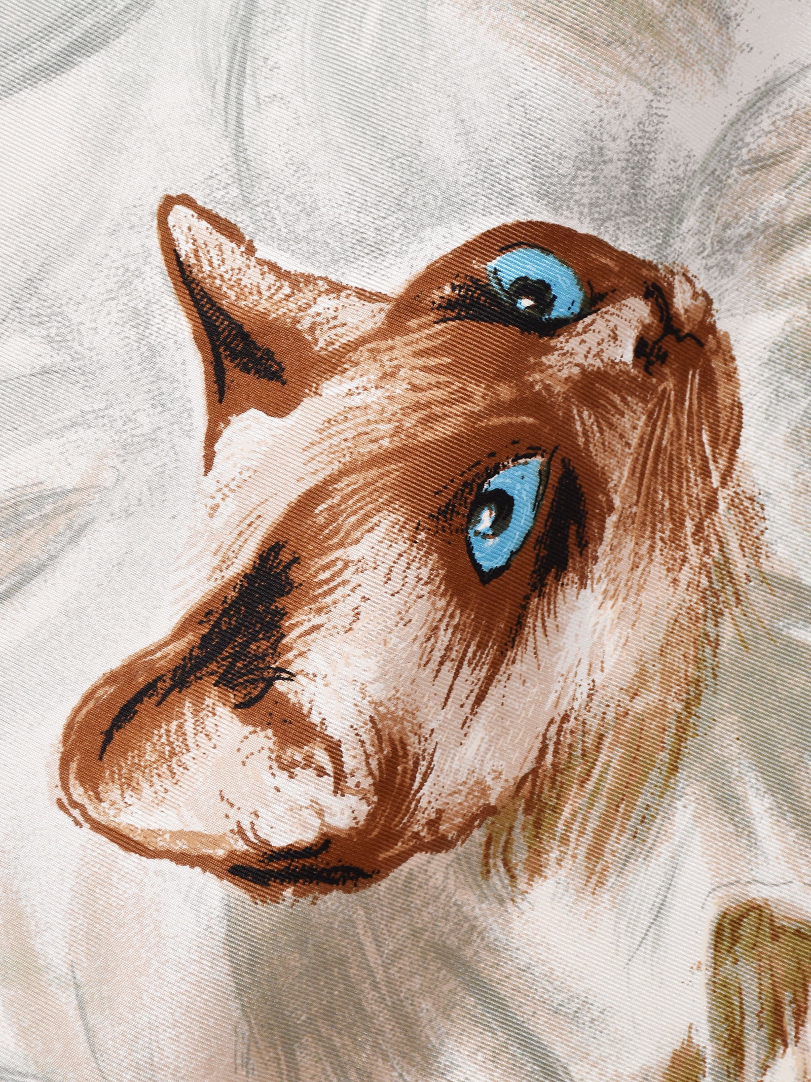 B03_3668_f8943344-c1d0-40c0-