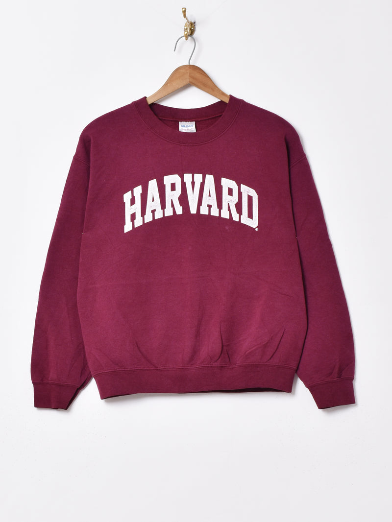 HARVARD カレッジプリント スウェットシャツ