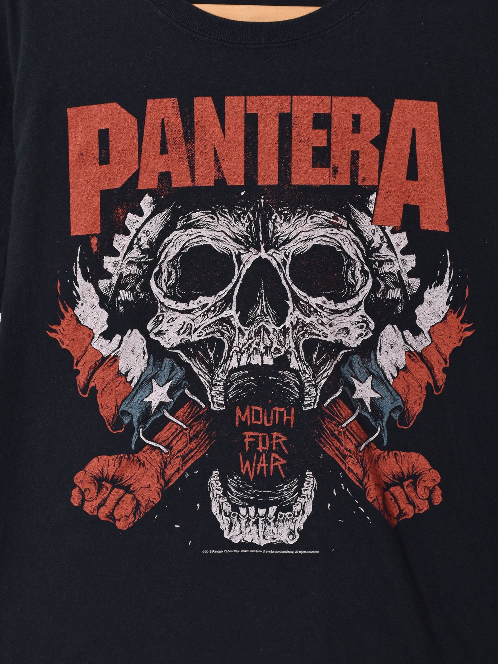 PANTERA パンテラ 俗悪30th Tシャツ メタル バンドT 古着 - メルカリ